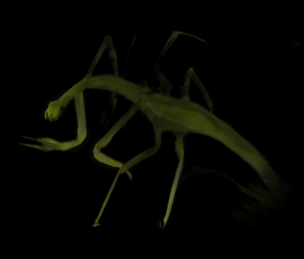 372-AI-Upscaled Brightened preview